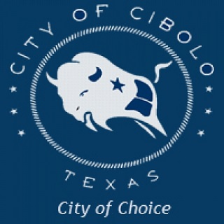 Cibolo, TX Hard drive, RAID, and SSD Recovery Location