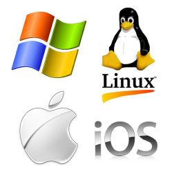 File system recovery services