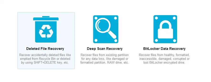 File system data recovery service